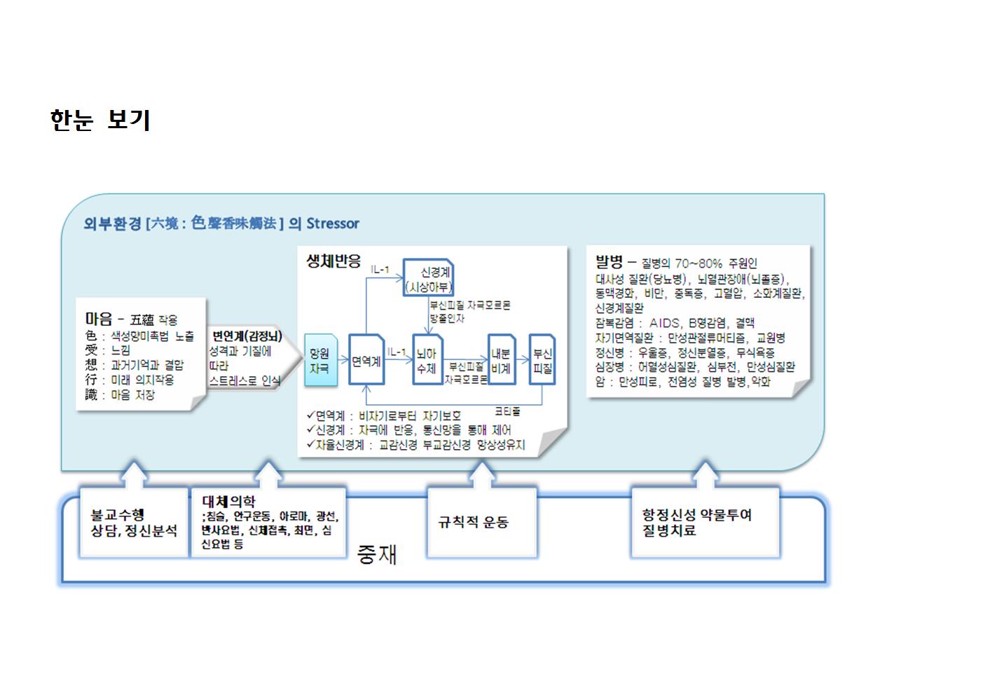 F 스트레스와 면역003.jpg